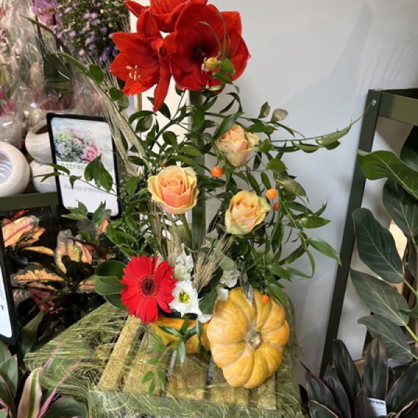 Attrape Fleurs - Artisan Fleuriste Montelimar - Composition Florale Originale Halloween Citrouille